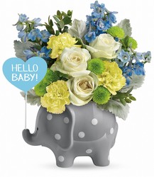 Hello Sweet Baby from Swindler and Sons Florists in Wilmington, OH